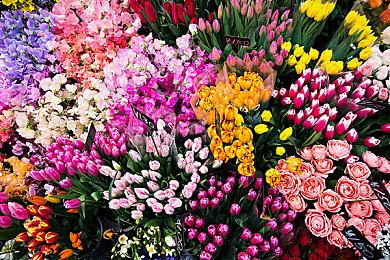 趣味场景化体验 海豹06GT×《黑神话：悟空》联动引领跨界合作新潮流