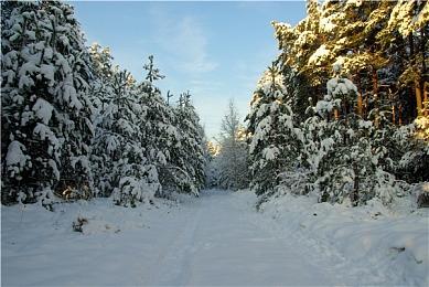 血腥风格银河恶魔城新作《Cookie Cutter》实机预告赏