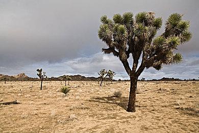 任天堂体验会+马车新作比赛！今年十月举办